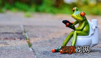 梦见上厕所拉屎是什么意思,做梦梦见拉屎是什么意思