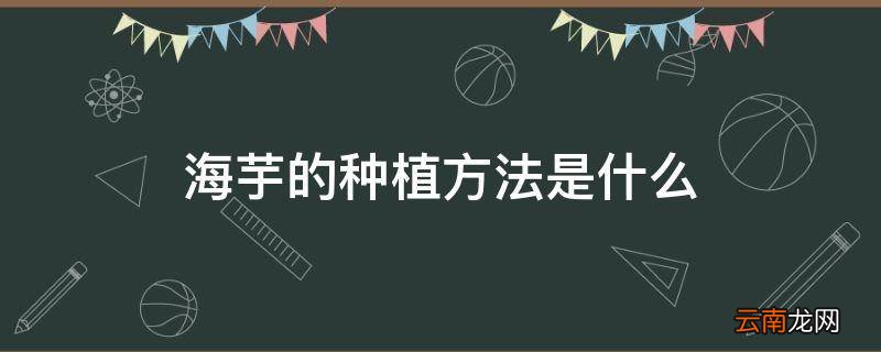 海芋的种植方法是什么