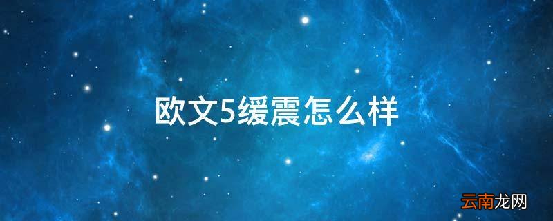欧文5缓震怎么样