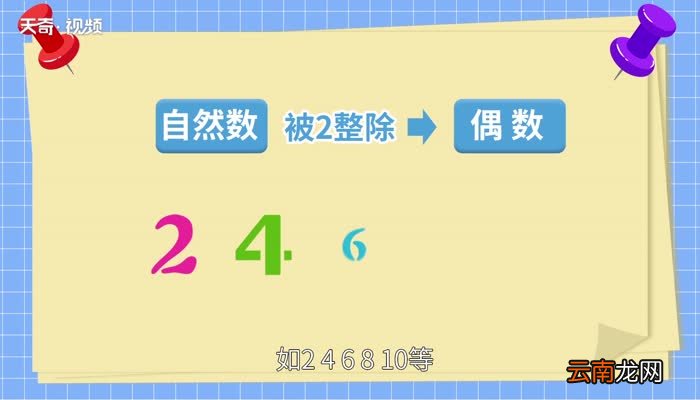 什么是偶数 偶数是什么意思