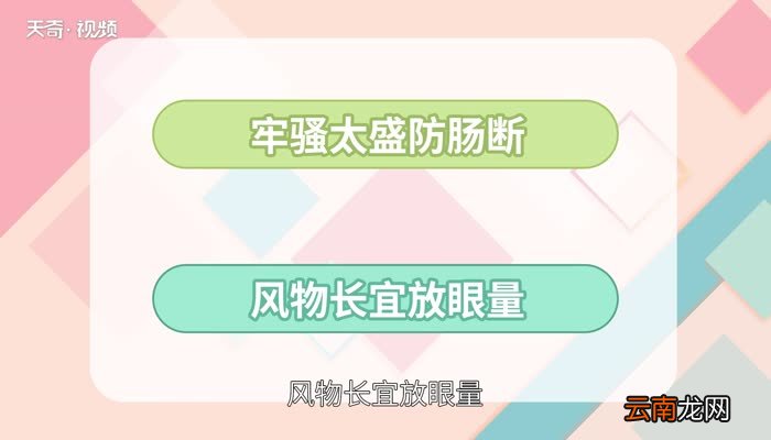 牢骚太盛防肠断的下一句 牢骚太盛防肠断的下一句是什么