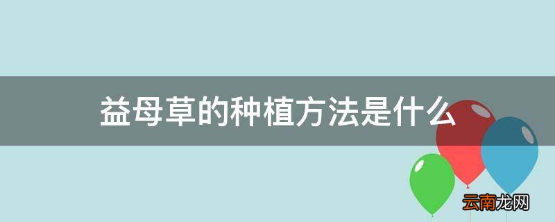 益母草的种植方法是什么