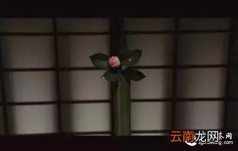 【品茶书文】人有残念之思，茶有残心之美