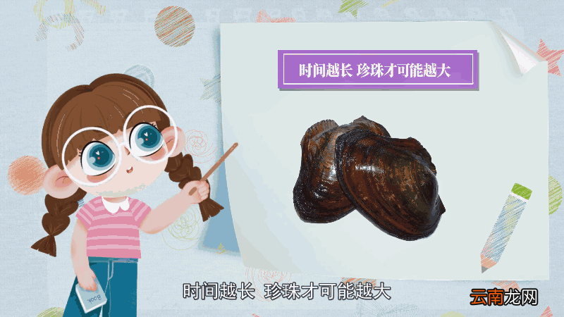 河蚌里面为什么会长珍珠 河蚌里面为何会长珍珠