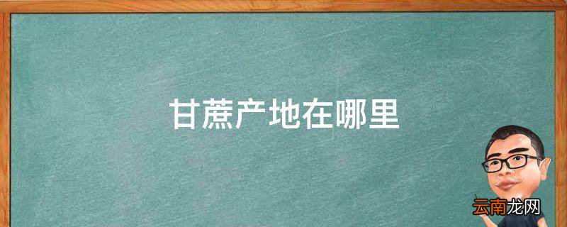 甘蔗产地在哪里