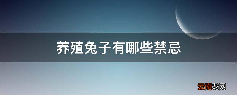 养殖兔子有哪些禁忌