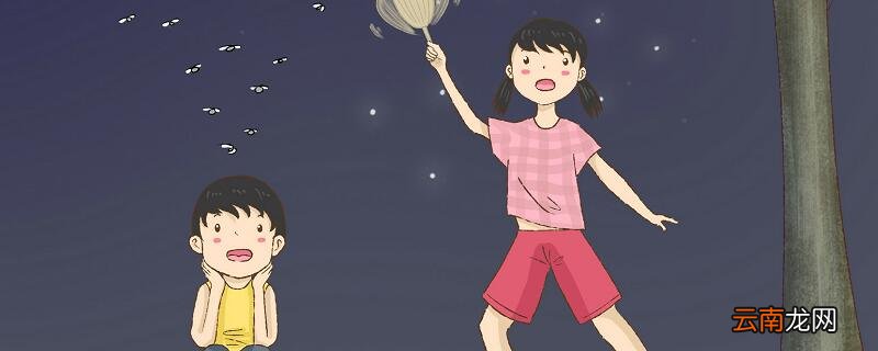 蚊子害怕什么东西蚊子害怕什么东西