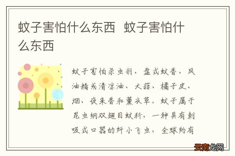 蚊子害怕什么东西蚊子害怕什么东西