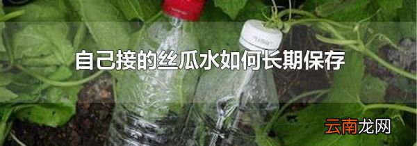 自己接的丝瓜水如何长期保存