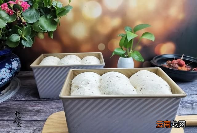 静乐藜麦怎么食用 藜麦怎样食用好