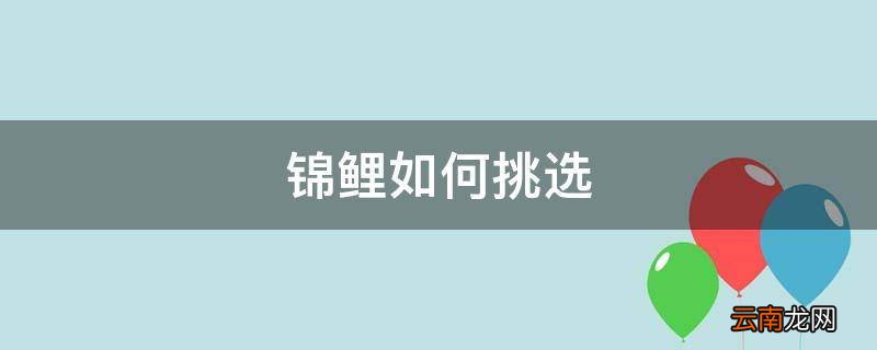 锦鲤如何挑选