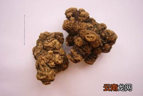 服用川芎的副作用 这些情况要小心