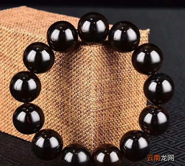 什么是海柳它长在哪里 什么是海柳
