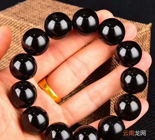 什么是海柳它长在哪里 什么是海柳