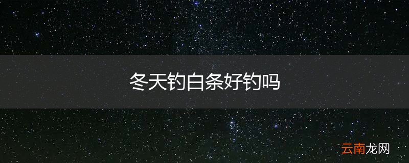 冬天钓白条好钓吗