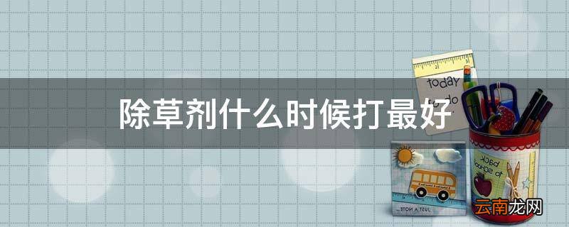除草剂什么时候打最好