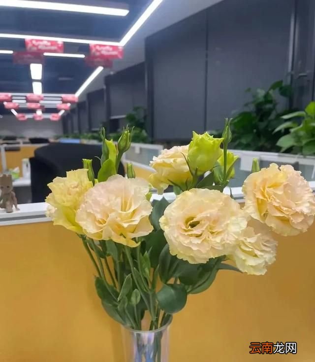 精明和不精明的人差别在哪,精明的人干什么都精明
