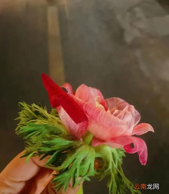 精明和不精明的人差别在哪,精明的人干什么都精明