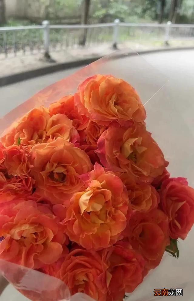 精明和不精明的人差别在哪,精明的人干什么都精明
