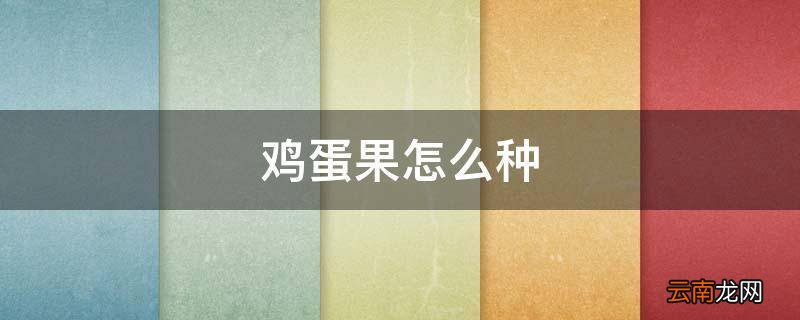 鸡蛋果怎么种