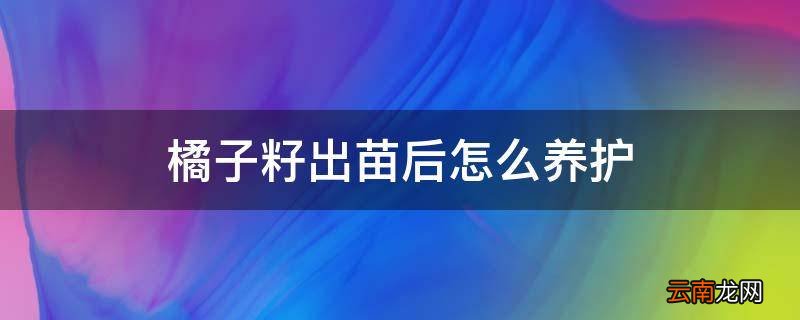 橘子籽出苗后怎么养护