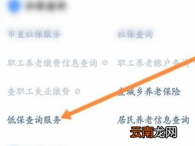 手机上怎么查询低保