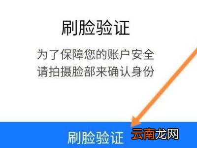 手机上怎么查询低保