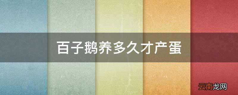 百子鹅养多久才产蛋