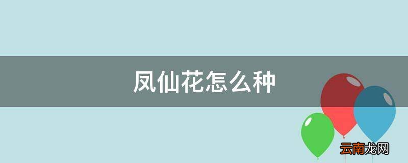 凤仙花怎么种