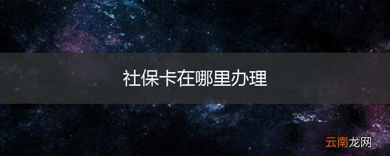 社保卡在哪里办理
