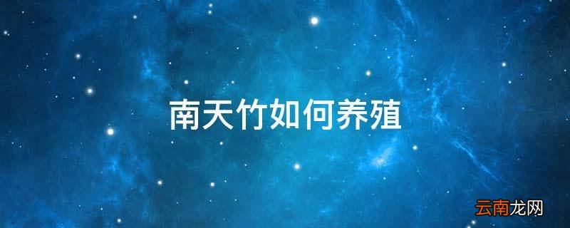南天竹如何养殖