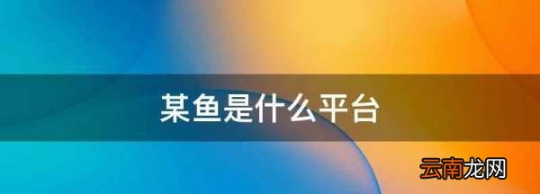 鱼瓢是什么，某8某鱼是什么平台