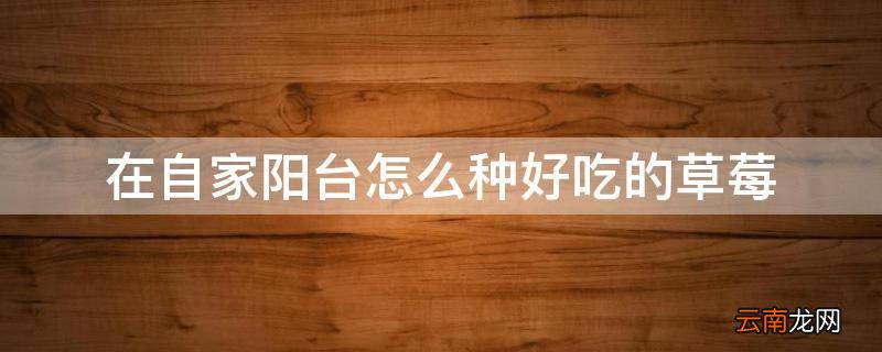 在自家阳台怎么种好吃的草莓