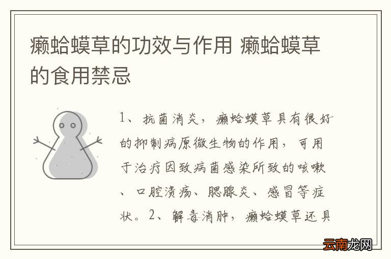 癞蛤蟆草的功效与作用 癞蛤蟆草的食用禁忌