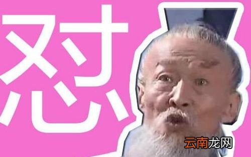 薅是什么意思网络 怼是什么意思网络语言