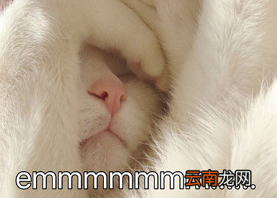男生对女生说emmmm是什么意思 emmmm是什么意思