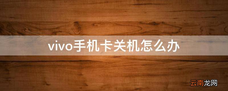 vivo手机卡关机怎么办
