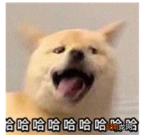 听君一席话如听一席话什么意思 听君一席话如听一席话什么意思梗
