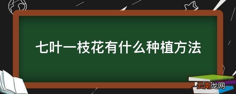 七叶一枝花有什么种植方法