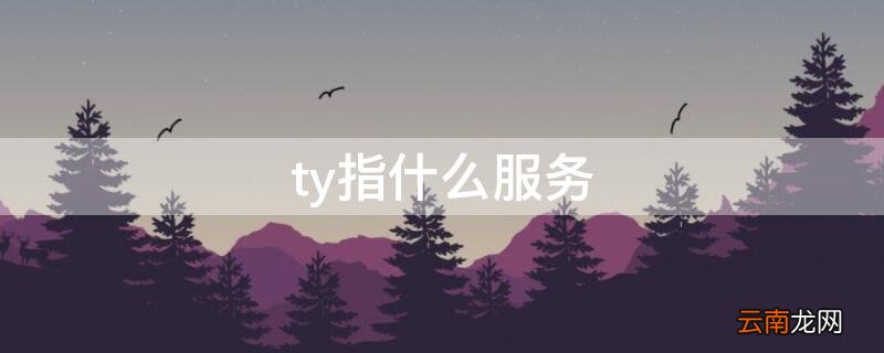 ty指什么服务 TY是什么意思?