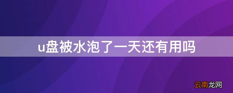u盘被水泡了一天还有用吗