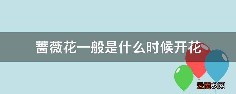蔷薇花一般是什么时候开花