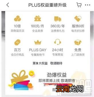 京东PLUS会员有什么权益