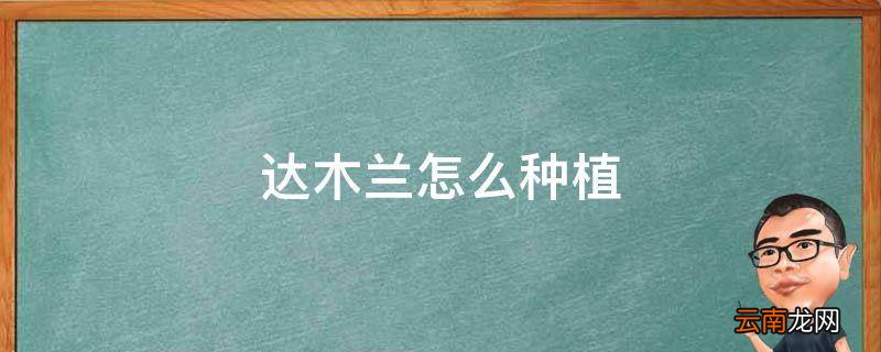 达木兰怎么种植
