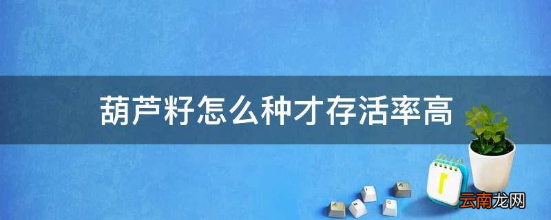 葫芦籽怎么种才存活率高