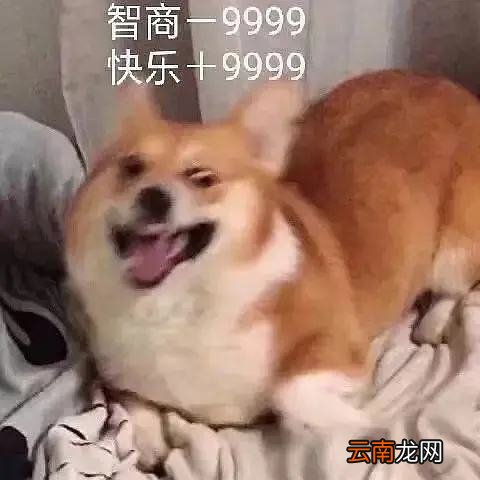 男生叫女生修勾是什么意思 修勾是什么意思