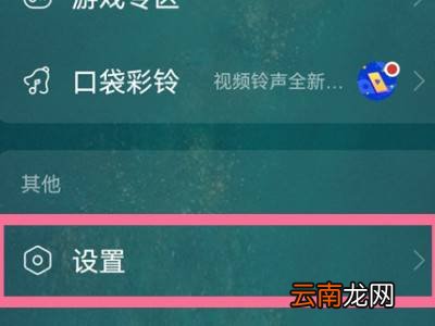 网易云动态绿点是在线吗