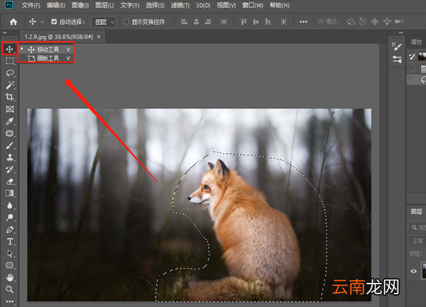 ps套索工具怎么抠图后移动到其他位置上 PS套索工具怎么抠图后移动到其他位置