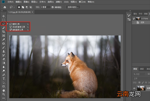 ps套索工具怎么抠图后移动到其他位置上 PS套索工具怎么抠图后移动到其他位置
