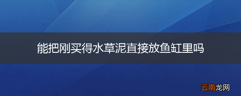 能把刚买得水草泥直接放鱼缸里吗